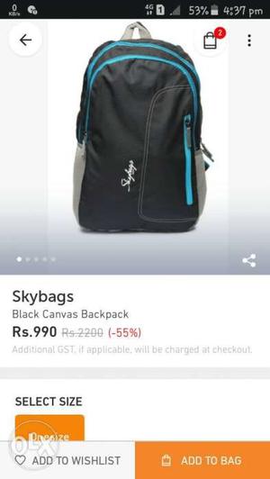 Black And Teal Skybags Backpack Screenshot