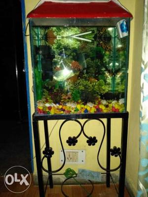 1.5 feet fish aquarium new. aquarium and stand