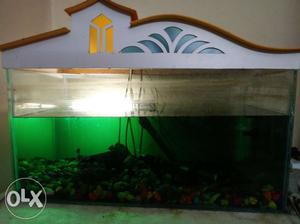 10 Gallon Aquarium tank with basic equipments &