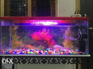 15days old 3 feet Aquarium with all accessories for sale