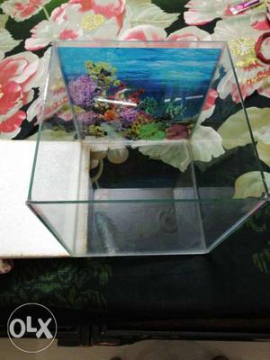 1x1 aquarium tank with red lid with bulb and