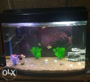 2 feet fish tank with fish and the accessories