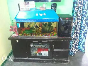2 years used fish aquarium with showcase