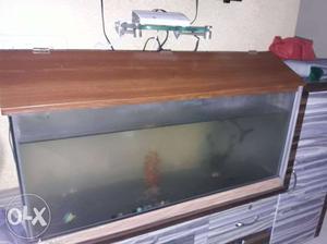 3 feet aquarium for sale price negotiations