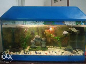 An aquarium is available in a very good condition