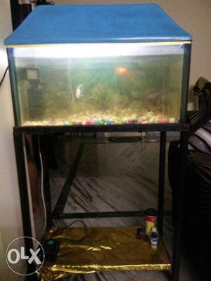 Aquarium. Only With Stand.