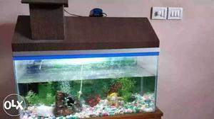 Big aquarium with wooden table (dont message to