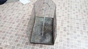 Bird Cage for Sale only for 600/-