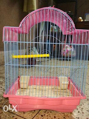 Cage Bird Small and Cute Cagre in sky-blue and