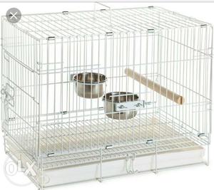 Cage with birds and calcium stone