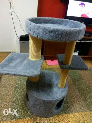 Cat play house