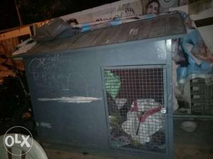 Dog home for sale intrested customer contect only