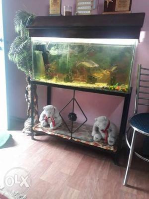 Fish Aquarium Tank.(') With Fish n Stand Complete.