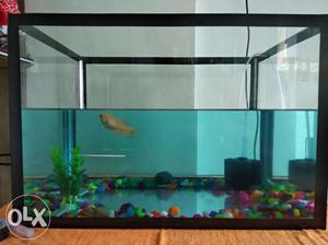 Fish aquarium for sell, including oxygen