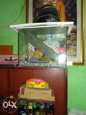 Fish aquarium without fish