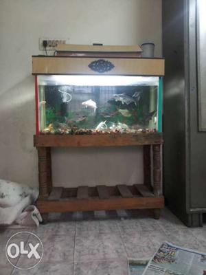 Fish tank,all stone,and fish, stand