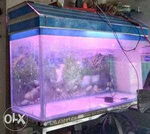 Fish tank for all fish