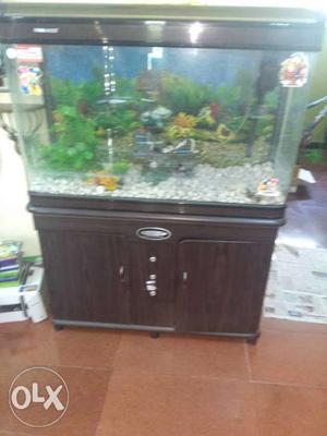 Fish tank full set with speed motors, stones,