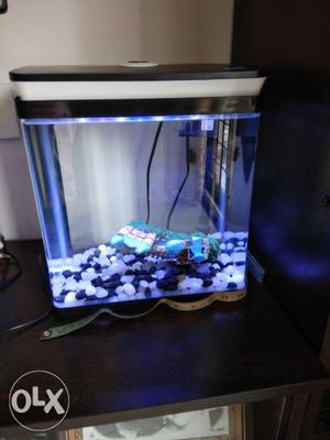 Fish tank with lights, pump filter, pebbles and