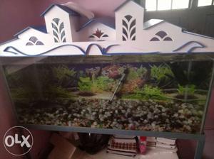Fish tank with top and stand full set 3.5 feet