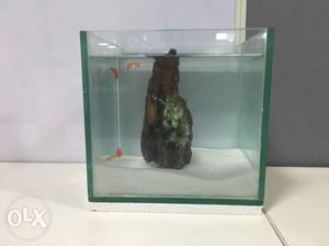 Full aquarium 8x8x8 inch