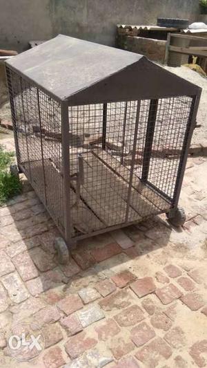 Gray Outdoor Pet Crate