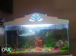 Height 1.5 lenght 3 adi... fish tank and stones