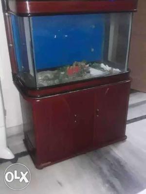 Imported fish aquarium