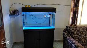 Imported fish tank for sale - 3 months old.