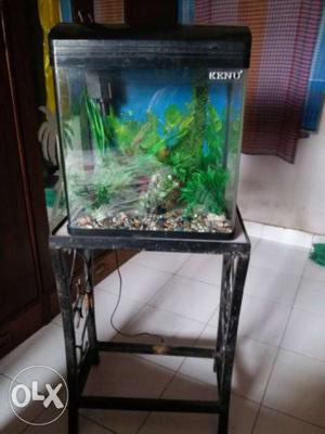 Kenu Fish tank ( inch) with Iron stand