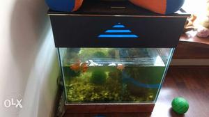 Movable aquarium
