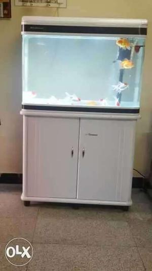 Newly branded fish tank white 2.5 ft length 2ft