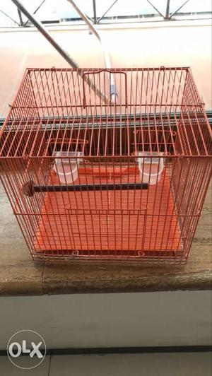 Orange Bird Crate