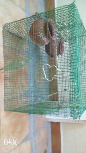 Pets cage rs 150 very large size 2 pots 8 pair