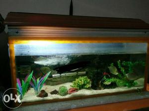 Rectangular orange framed Fish Tank