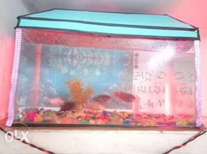 Red And White Wooden Framed Fish Tank