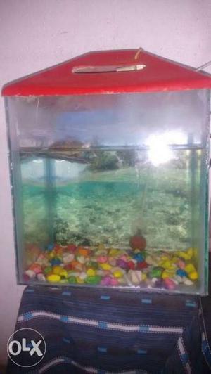 Red Frame Clear Fish Tank