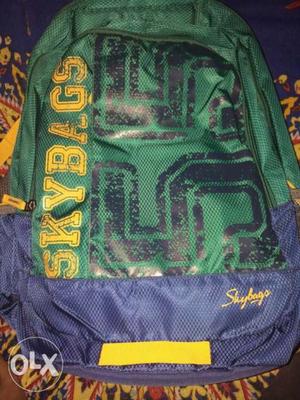 SKYBAGS Green And Purple Backpack