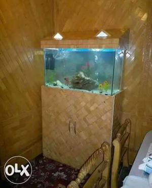 Sell and suppot all kind of fish tanks