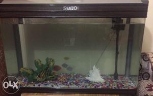Sobo Fish Tank With Brown Frames