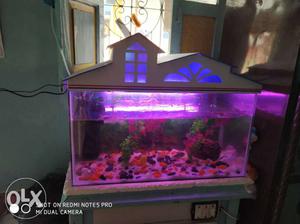  fish tank air filter 6 moly fish pink