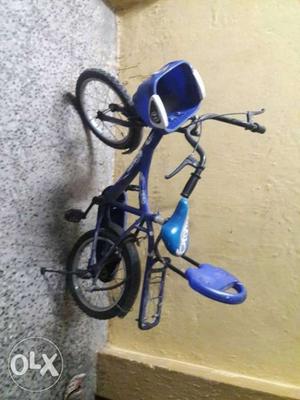Blue And Black Trike Bike
