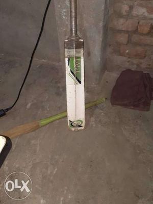 A very good cricket bat with round handle of