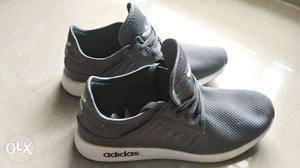 Adidas Sports Shoes size - 8 Never used (