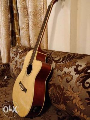 Exl semi acoustic guitar one year old with