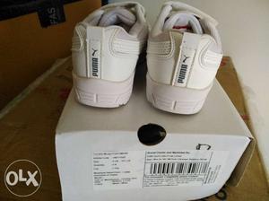 Good Quality,Original Box packed Shoes available