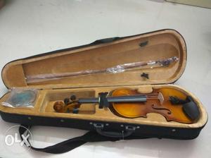 New violin with extra strings and violin cover