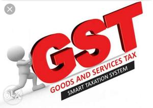Service for gst and account in tally. Ph