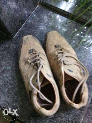 Woodland hiking shoes