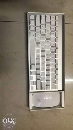 Apple Wireless Keyboard Wireless mouse White